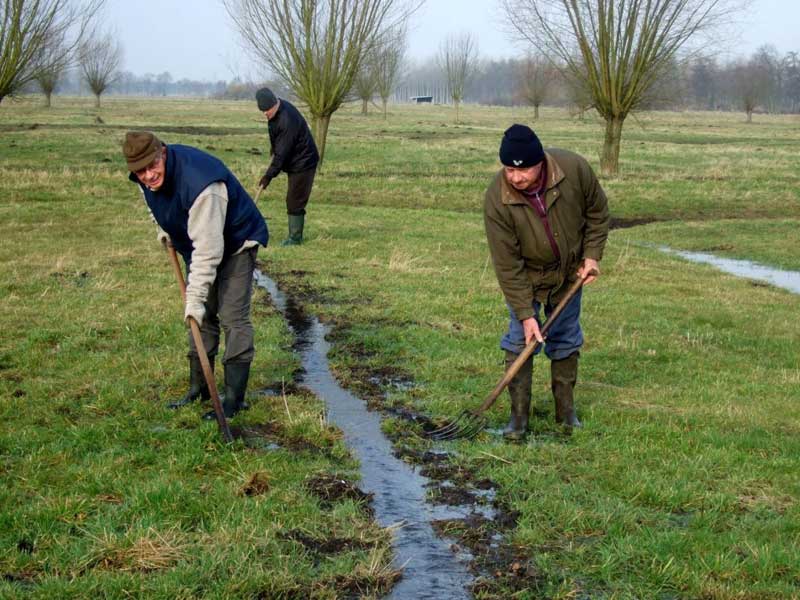 Wässern in der Grossen Kolonie von Lommel