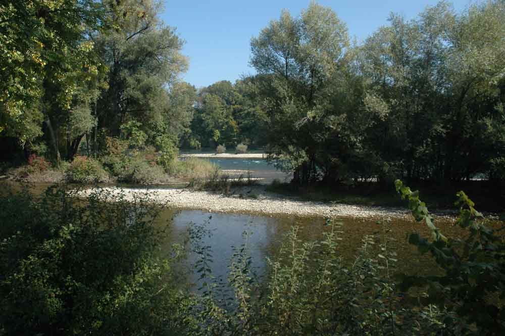Aare near Wynau, Picture Werner Stirnimann